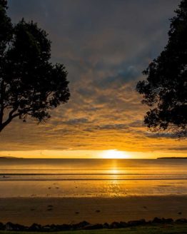 Red Beach Hibiscus Coast.