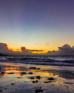 Tindalls Bay Hibiscus Coast