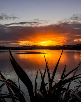 Orewa Beach. Hibiscus Coast.