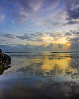 Orewa Beach. Hibiscus Coast.