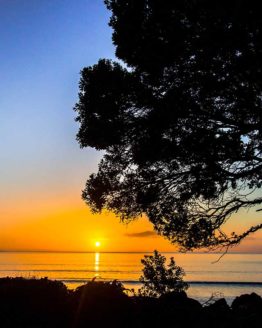 Orewa Beach. Hibiscus Coast.