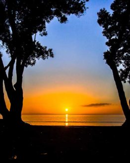 Orewa Beach. Hibiscus Coast.