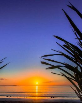 Orewa Beach. Hibiscus Coast.