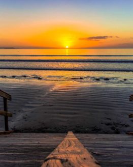 Orewa Beach. Hibiscus Coast.