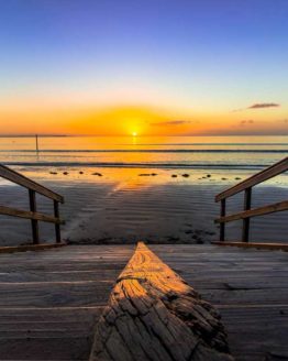 Orewa Beach. Hibiscus Coast.