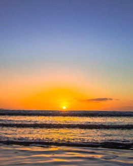 Orewa Beach. Hibiscus Coast.