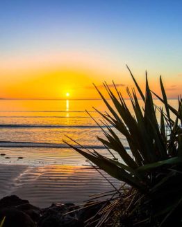 Orewa Beach. Hibiscus Coast.