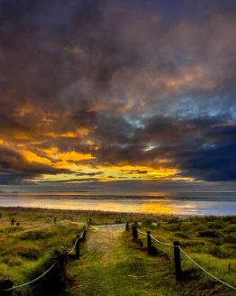 Orewa Beach. Hibiscus Coast.