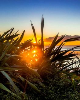 Orewa Beach. Hibiscus Coast. New Zealand.