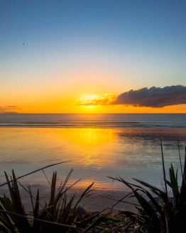 hibiscus_coast_orewa_9.6.18_print_4