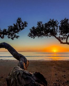 Stanmore Bay Hibiscus Coast