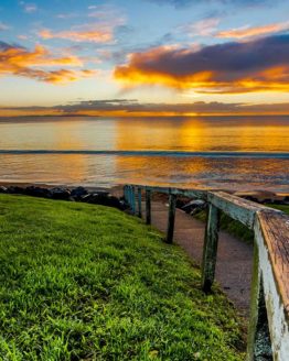 Red Beach Hibiscus Coast