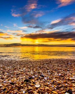 Red Beach Hibiscus Coast