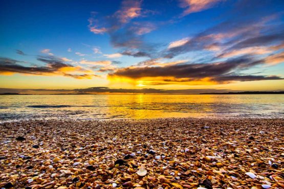 Red Beach Hibiscus Coast