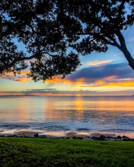 Red Beach Hibiscus Coast