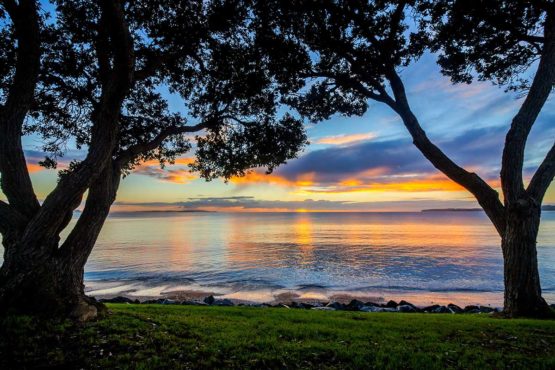 Red Beach Hibiscus Coast