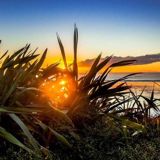 Orewa Beach Magnets Hibiscus Coast