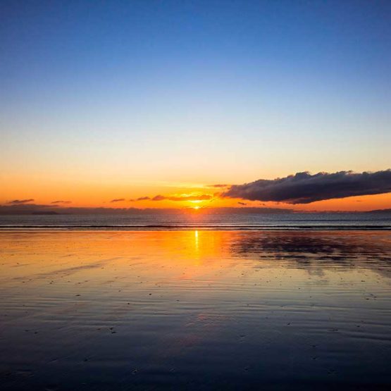 Orewa Beach Magnets Hibiscus Coast