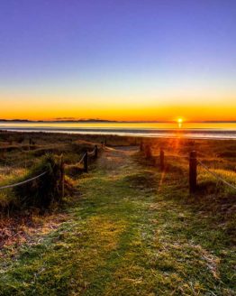 Orewa Beach. Hibiscus Coast.