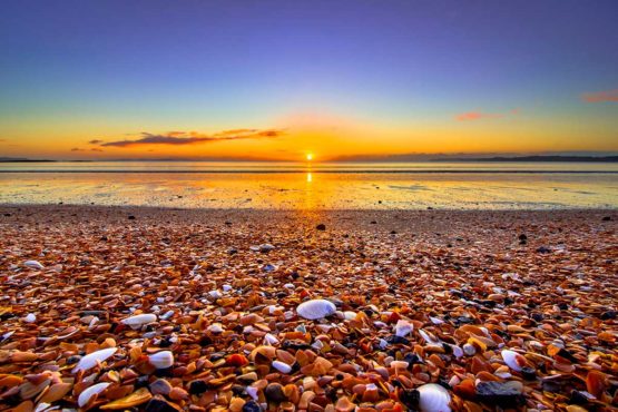 Red Beach Hibiscus Coast.