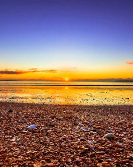 Red Beach Hibiscus Coast.