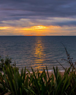 Stanmore Bay Hibiscus Coast.