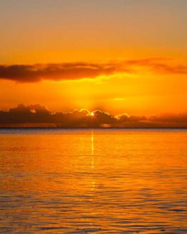 Stanmore Bay Hibiscus Coast.