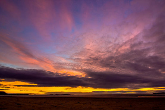 Hbiscus Coast Orewa Beach