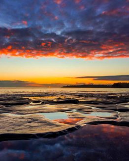 Stanmore Bay Hibiscus Coast.