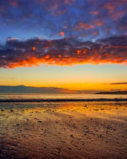 Stanmore Bay Hibiscus Coast.