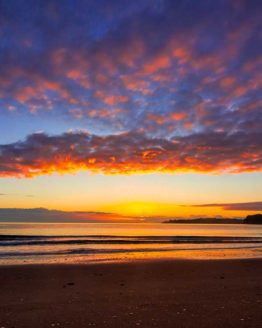 Stanmore Bay Hibiscus Coast.