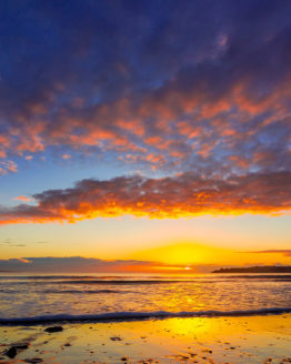 Stanmore Bay Hibiscus Coast.