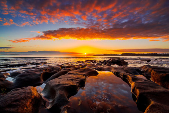 Stanmore Bay Hibiscus Coast.