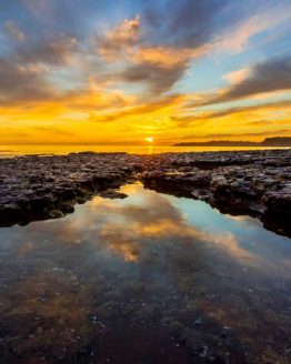 Stanmore Bay Hibiscus Coast.