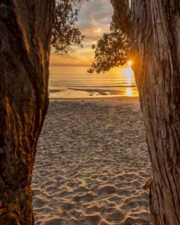 Stanmore Bay Hibiscus Coast.