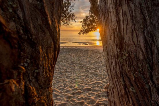 Stanmore Bay Hibiscus Coast.