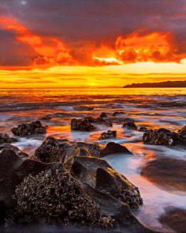 Stanmore Bay Hibiscus Coast.