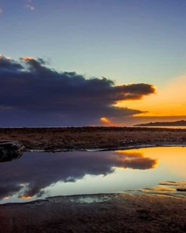 Stanmore Bay Hibiscus Coast.