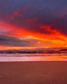 Stanmore Bay Hibiscus Coast.