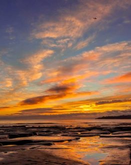 Stanmore Bay Hibiscus Coast.