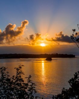 Matakatia Bay Hibiscus Coast